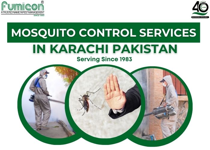 Mosquito Control Services In Karachi Pakistan